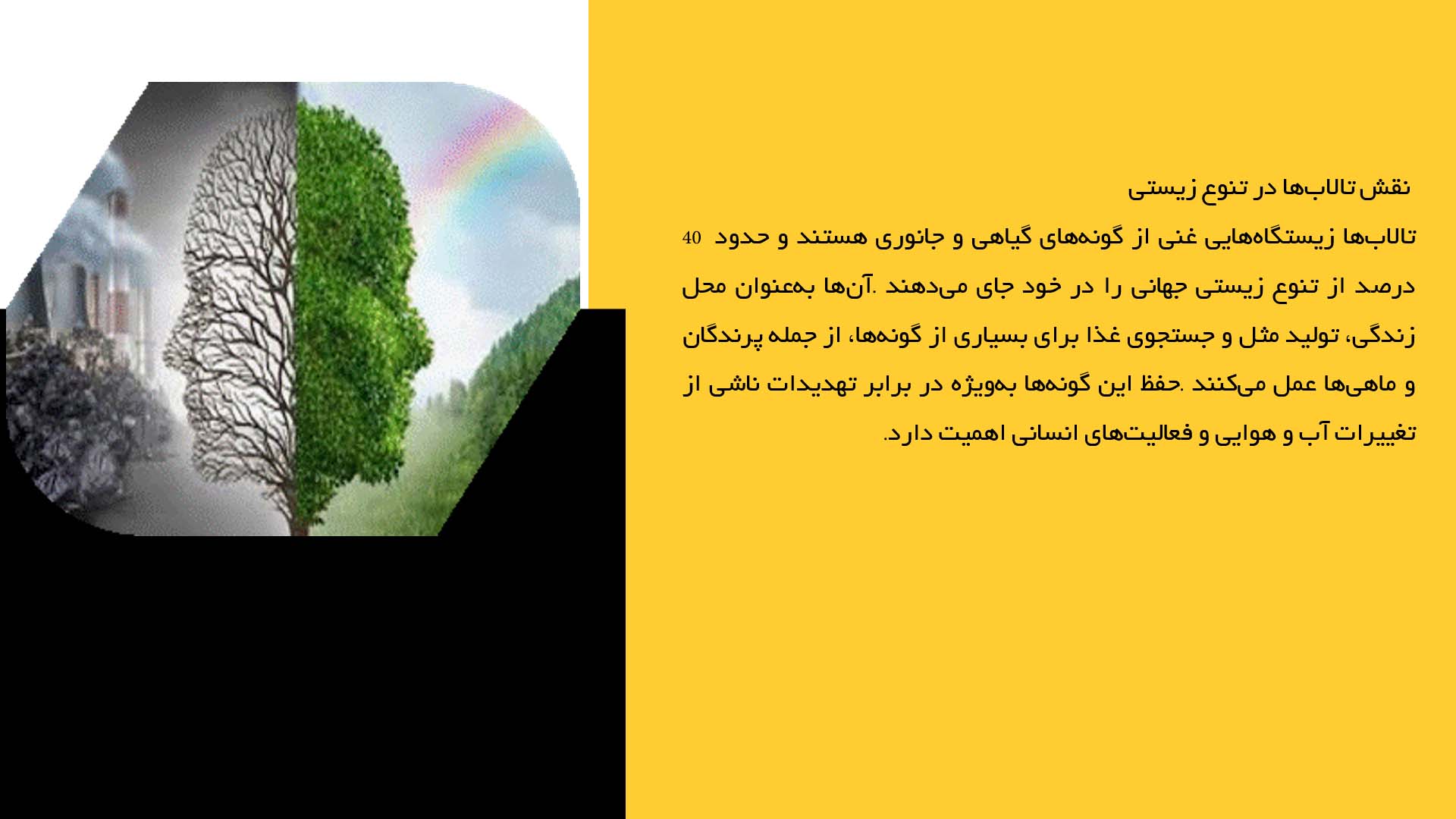پاورپوینت در مورد اهمیت حفظ تنوع زیستی در تالاب‌ها